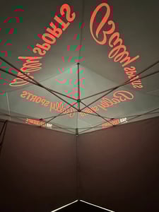 Bally's 360 Photobooth Fan Experience