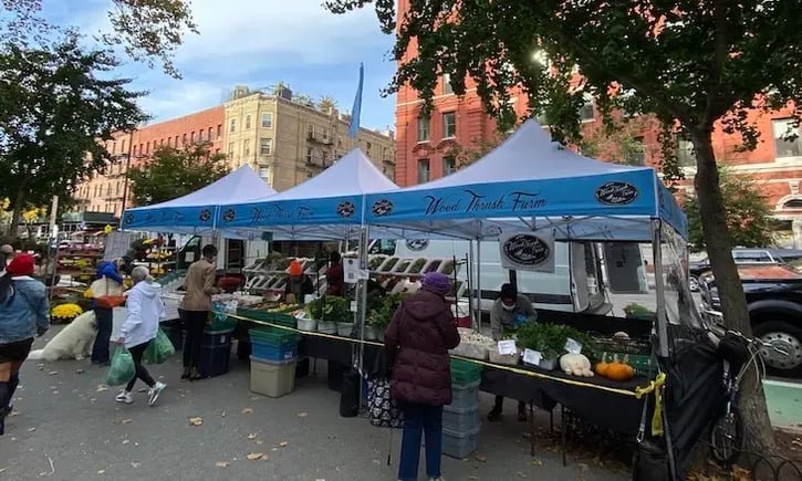 Best Farmers Market Tents