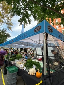 fresh produce tent at farmers market